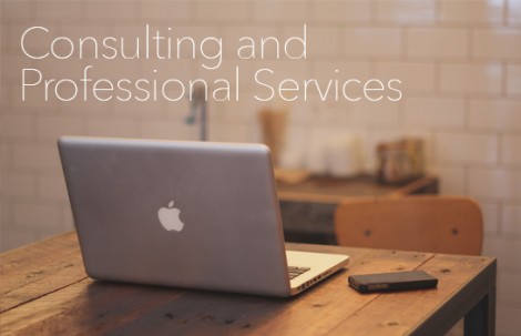 Consulting and Professional Services